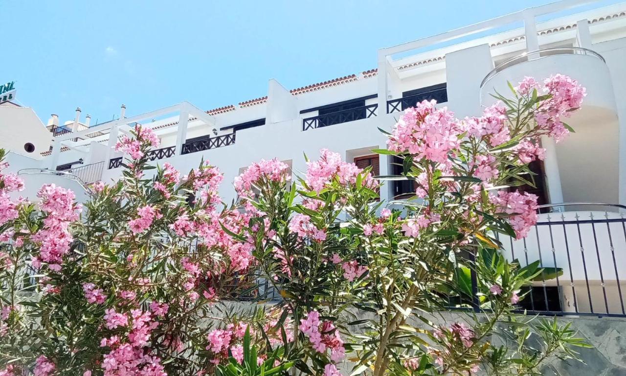 Under The Lime, Beautiful Apartment Los Cristianos Los Cristianos  Eksteriør bilde